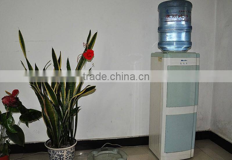 300 mg/h ozone generator water sanitizing for spa hot tub