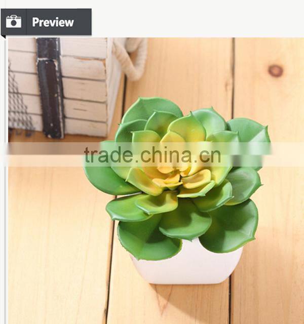 Cheap artificial succulents plants plastic plants