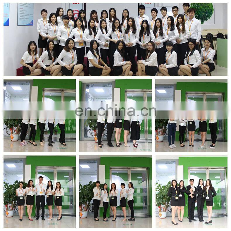 New design!!!HI CE customized dog plush toy ,update stuffed dog for new year decoration