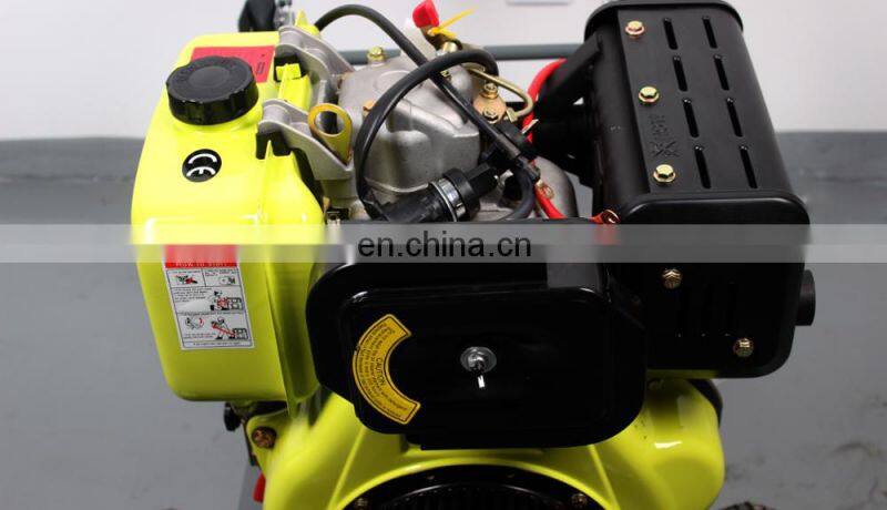 BISON(CHINA) BS-D250 New Design Professional 250Bar Portable Water High Pressure Cleaner For Sale