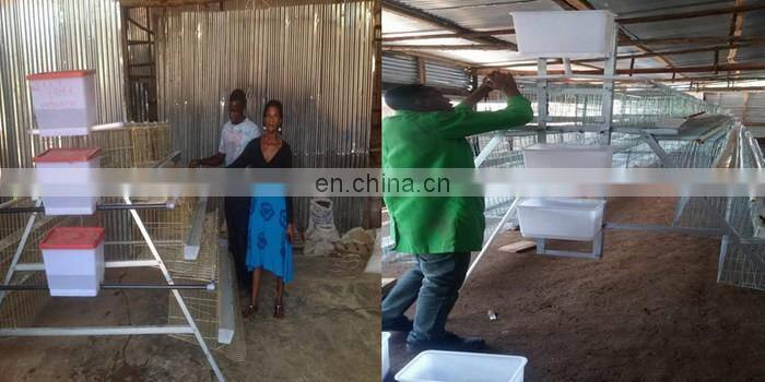 Poultry farm equipment, Galvanized chicken cage for sale