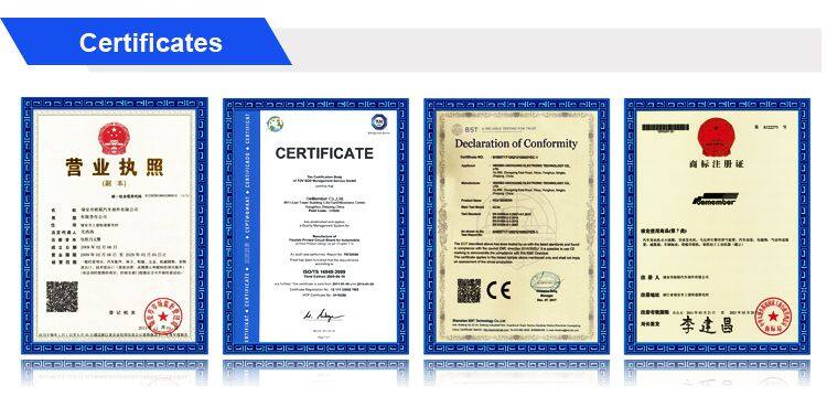 Truck Engine Custom Electric Wire Harness Assembly 504272883 For IVECO