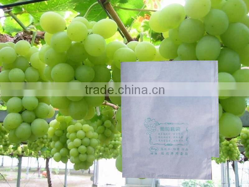 Factory price different size fruit growing bag