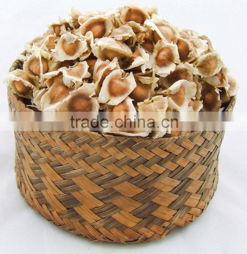Bulk Moringa Seeds At Favourable Price