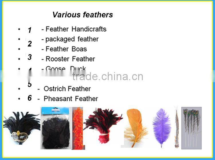 Real Natural Ostrich Feathers for canival, festival decorative feathers wholesale