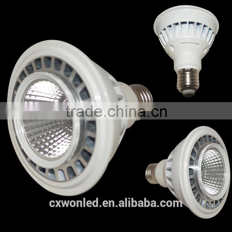 Cheap Price E27 LED PAR 30, White 12W PAR 30 LED, E27 High Power PAR 30