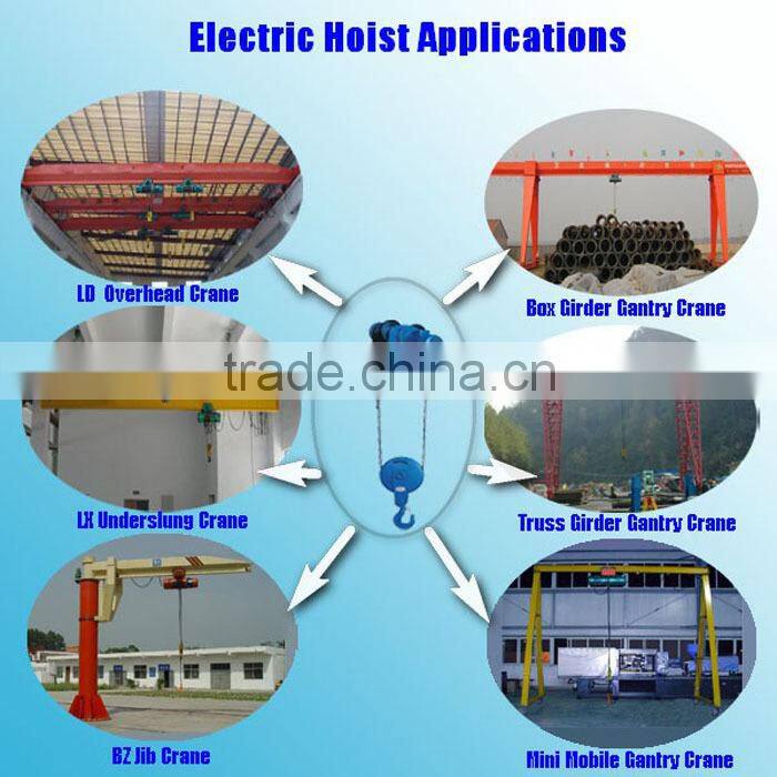 Wire Rope Electric Hoist Crane 2 Ton