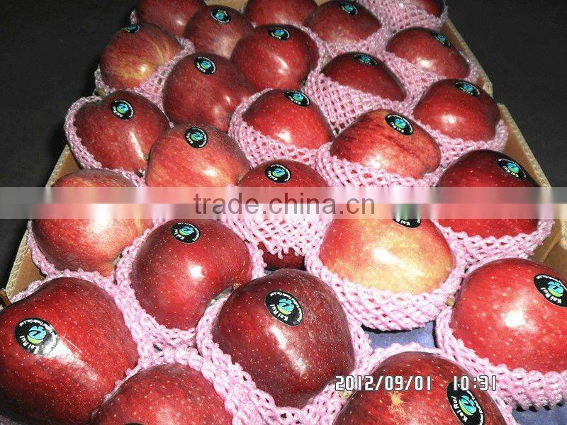 himachal apples from apple hometown