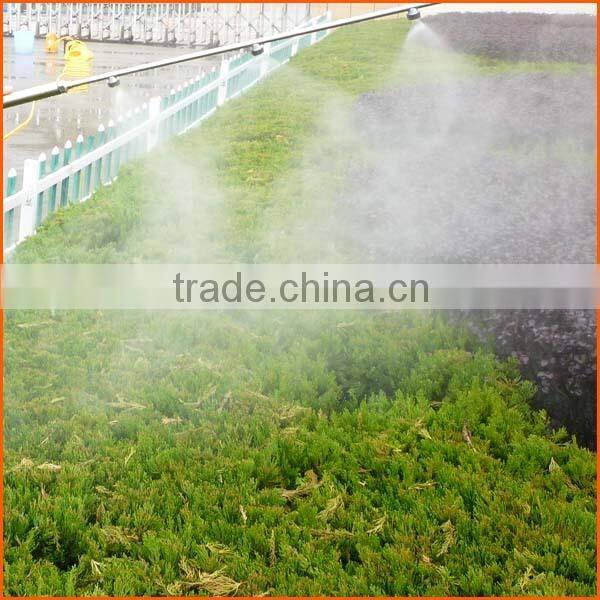 Professional mini plunger pump