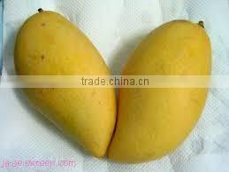 Organic Fresh Mango From Thailand