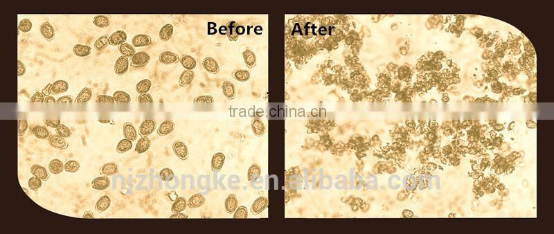 Cancer Treatment Reishi/Ganoderma Mushroom Spore Oil Soft Gel