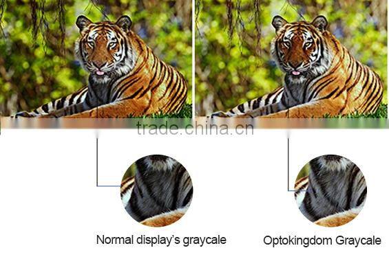 12mm Pixels and text,animation,graphics Display Function scrolling led dot matrix display