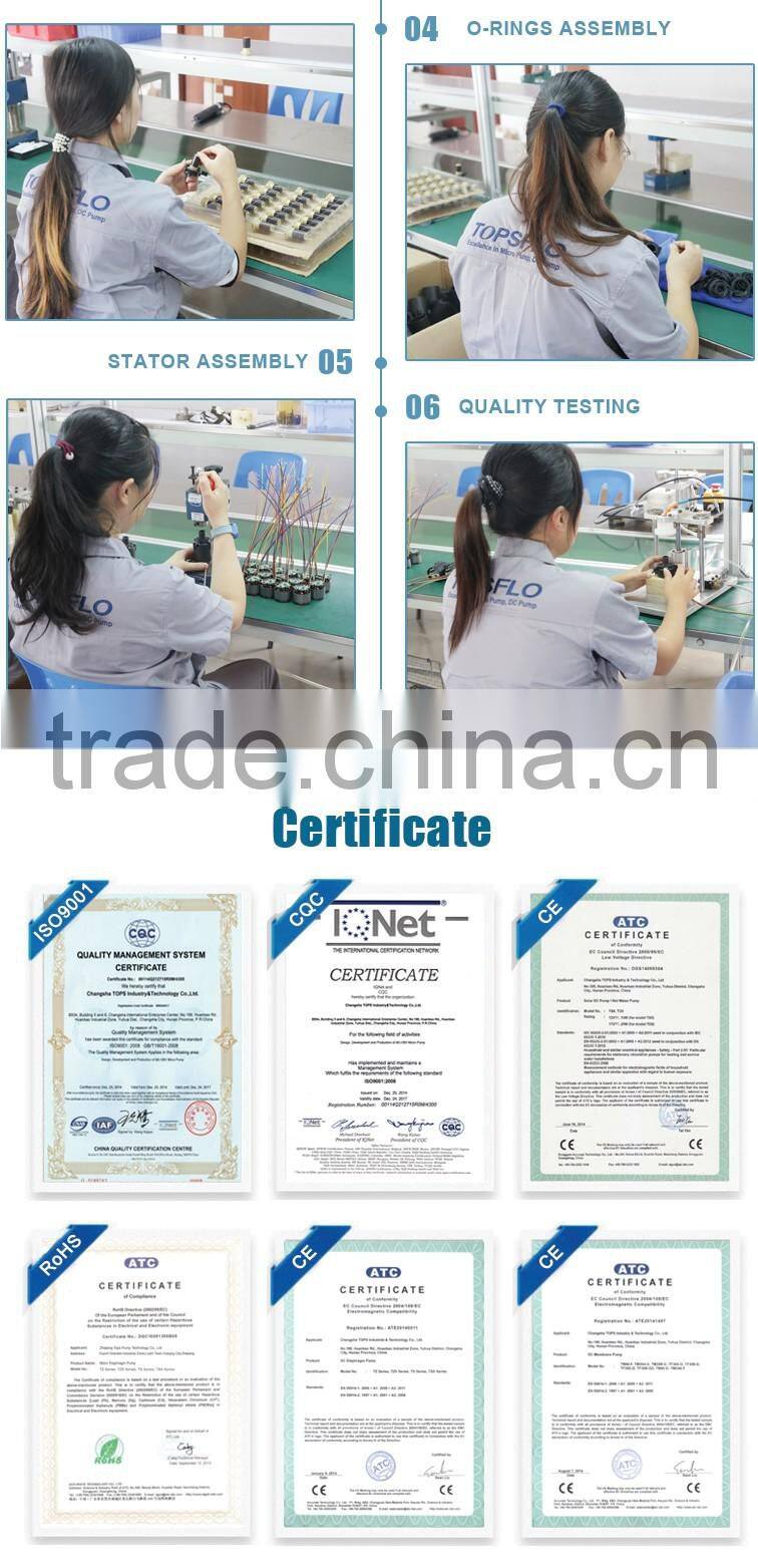 6v 12v 24v dc diaphragm small ozone purifier for air water with air pump