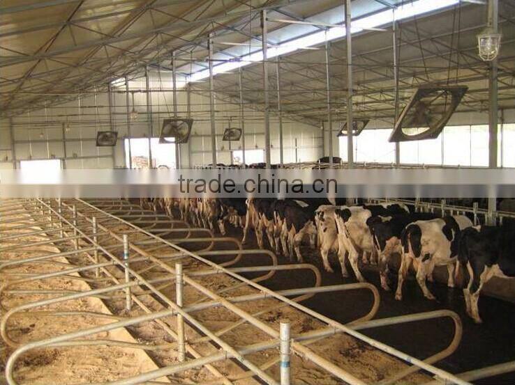 Light steel structure turn-key project chicken poultry farm
