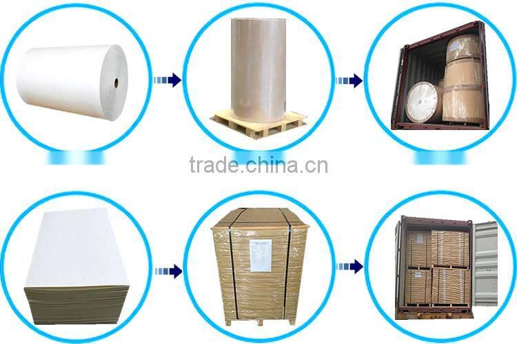 disposable paper cup paper