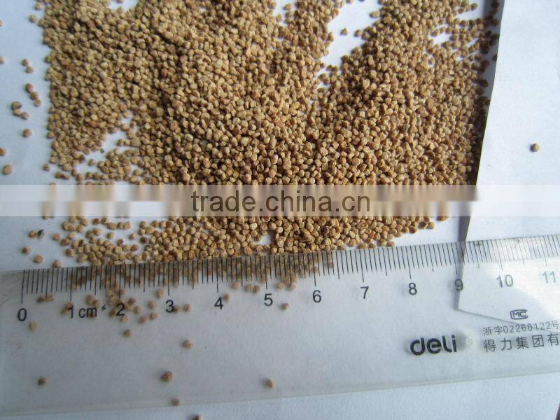 Professional supply 80mesh walnut shell grit