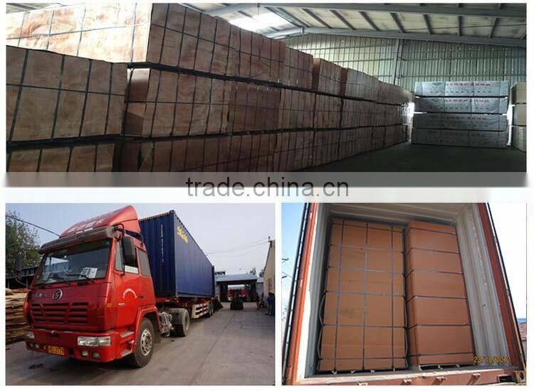 Building Construction Materials Concrete Shuttering Panel for Sale