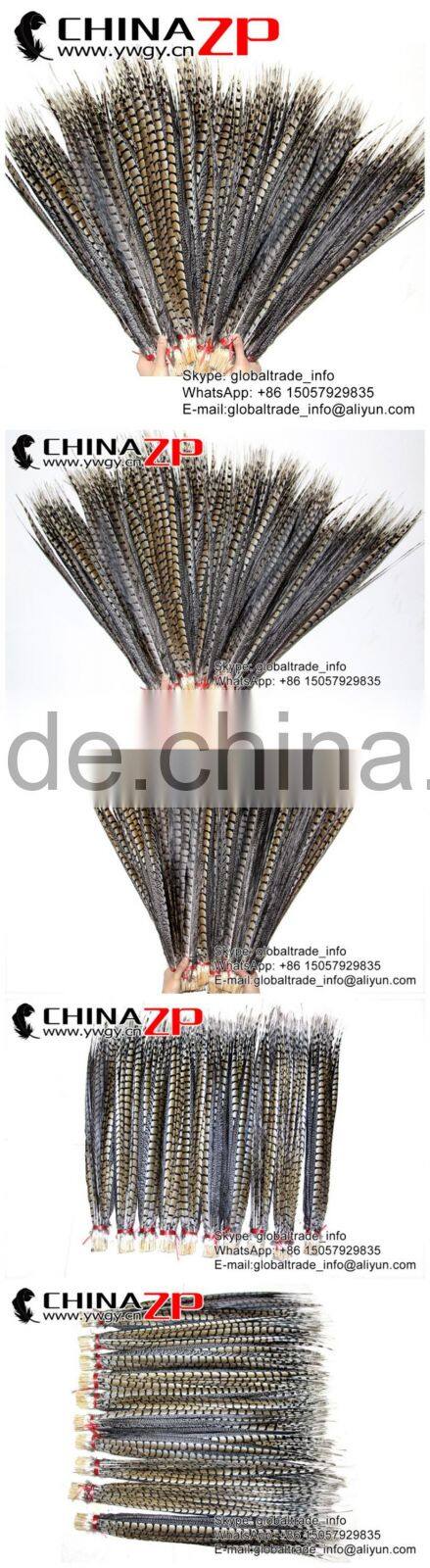 CHINAZP Exporting Wholesale Top Quality Large Natural Beautiful Lady Amherst Pheasant Tail Feathers for DIY