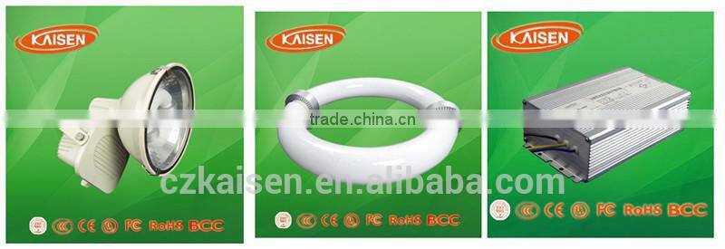 40W 80W 120W 150W 200W 250W 300W energy saving high power induction lamp flood light