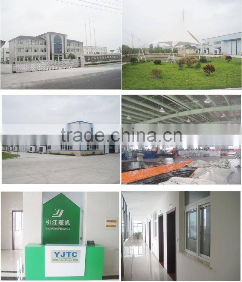 Lion Inflatable Jumping Bouncer Outdoor Inflatable Bouncer