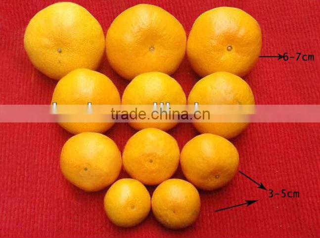 New harvest honey baby mandarin orange