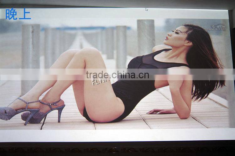 Multimedia data show 4500 Lumens DLP 3D Hologram Short Throw Projector