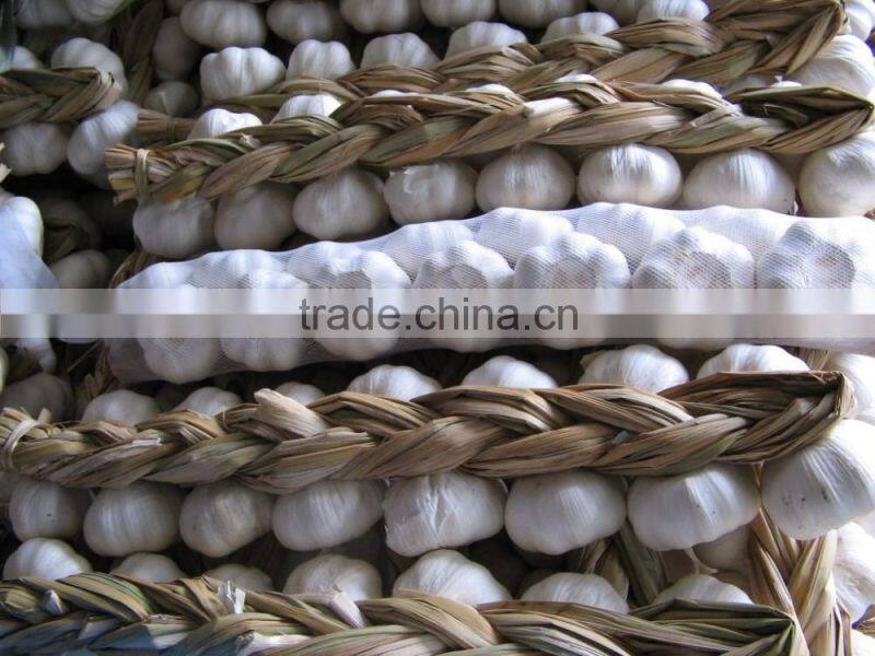 (NEW) 2015 China Fresh Garlic With High Reputation at Abroad