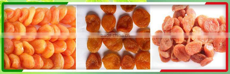 2015 10mm Air Dried Organic Apple Loops