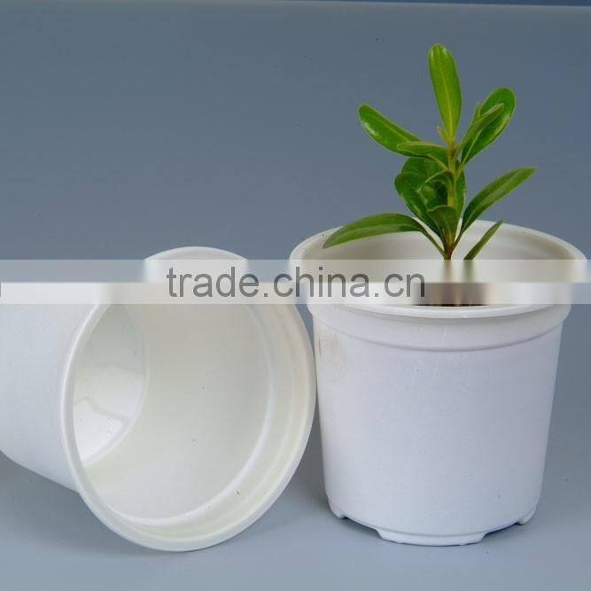 Colorful plant nursery pot biodegradable plastic flower pot