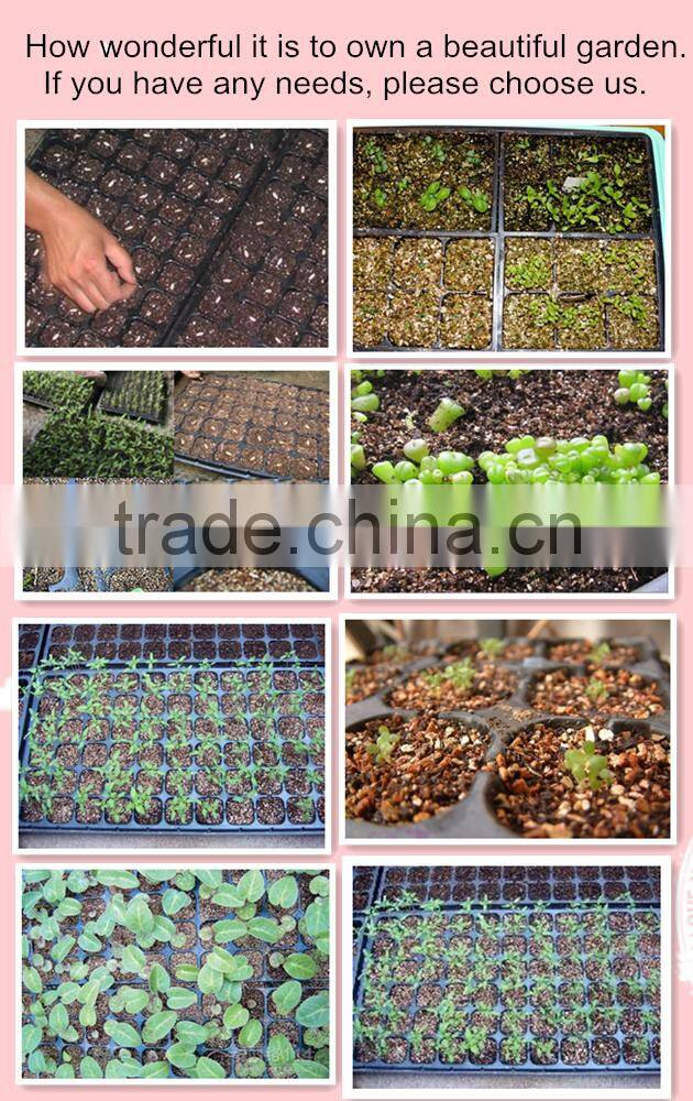 Plants Growing Media Expanded Vermiculite on sale
