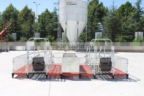 pig farming breeding equipment/ gestation cage/pig cage/Monomer sty/pig stall/sow single stall/nursery stall/farrowing cage