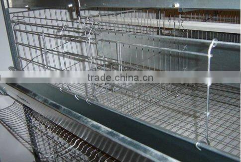 Automatic chicken cage