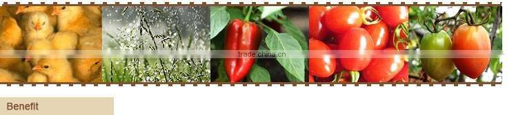 China Low Cost Free Sample for Branch Chain Fertil Supplement agriculture liquid fertilizer