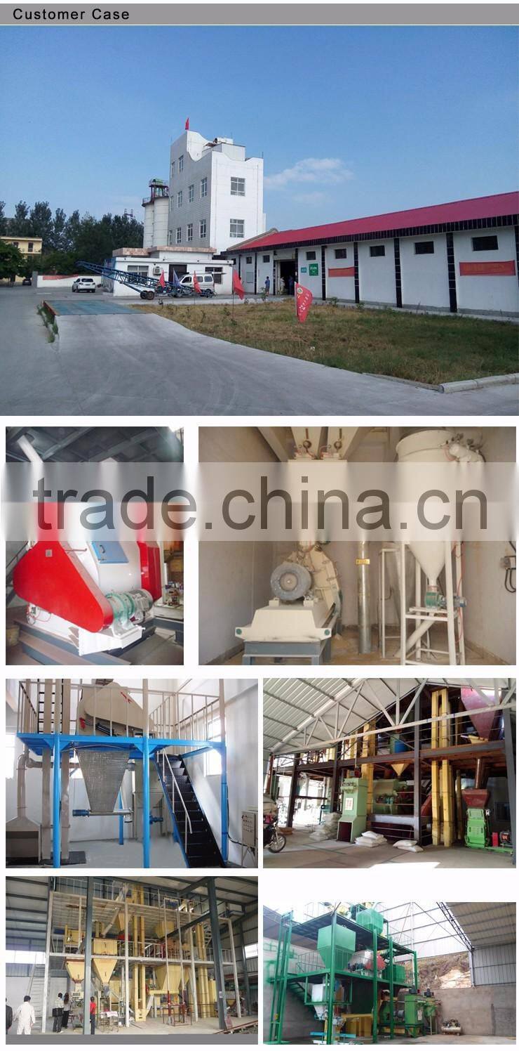 Widely Used Double Shaft Chicken Feed Paddle Mixer