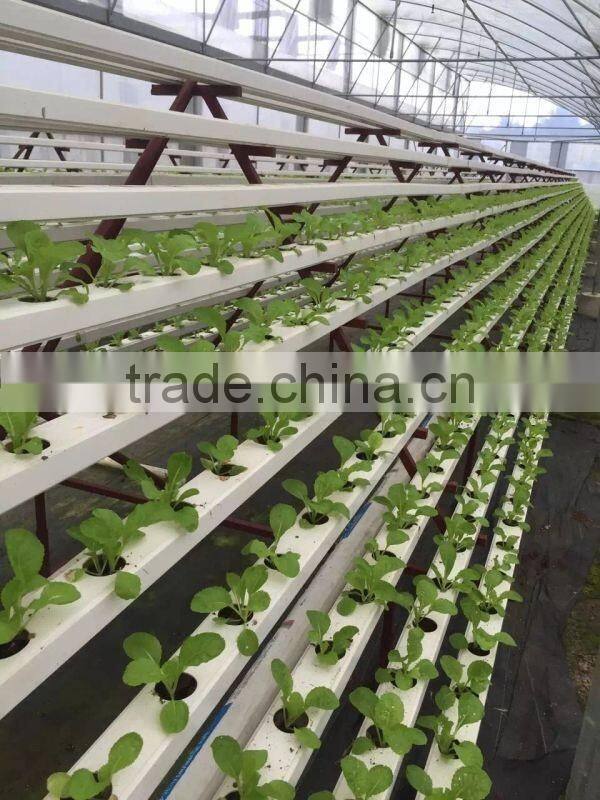 Vertical Hydroponic System design for your request