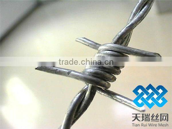 stainless steel barbed wire
