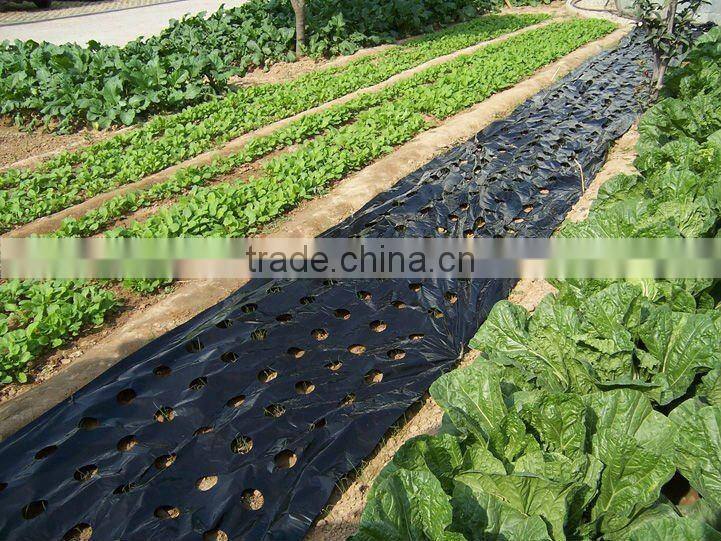 Agricultural Black Perforted Plastic Mulch Film
