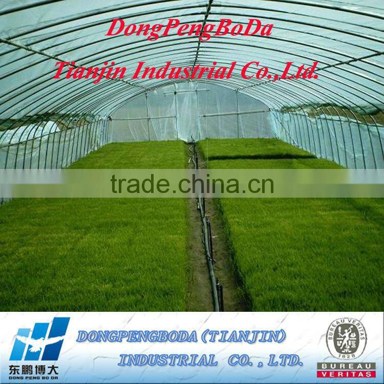 DPBD ERW pre-galvanized round steel pipe