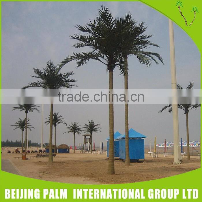 Plastic coconut tree,decorative tree