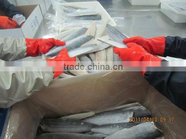 A grade IQF spanish mackerel fillet