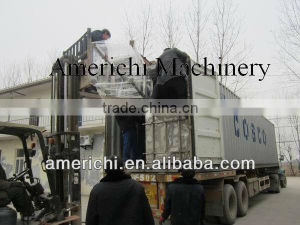 China fish food machine