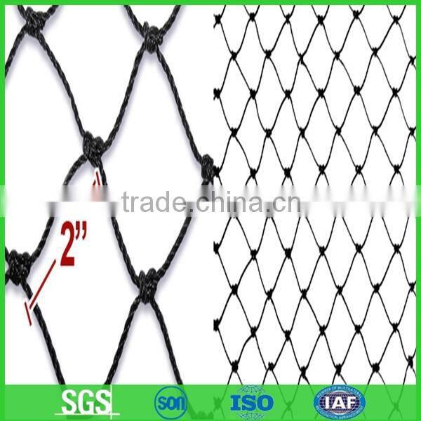 Knitted Anti Bird Netting/Fruit Net