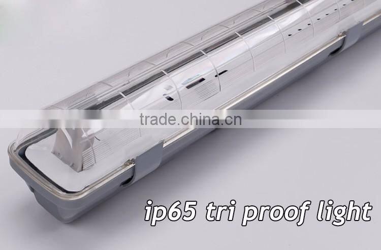 high quality new design warm cool 3years warranty IP65 decorative fluorescent light covers