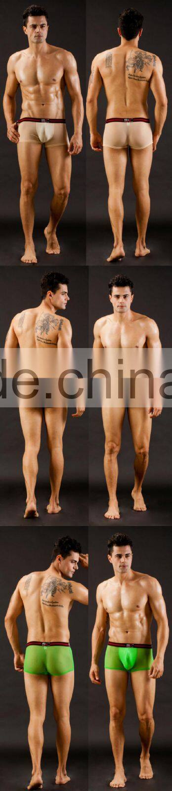 Eropean Transparent Hot Sexy Picture Boys Boxer Underwear Lycra Comfortable Mid Waist Boxer short underwear