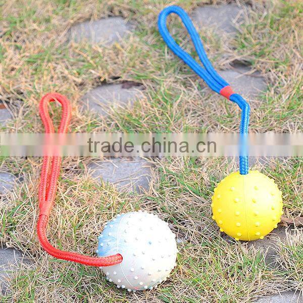 Custom Rubber Spiky Ball Toys for Pet