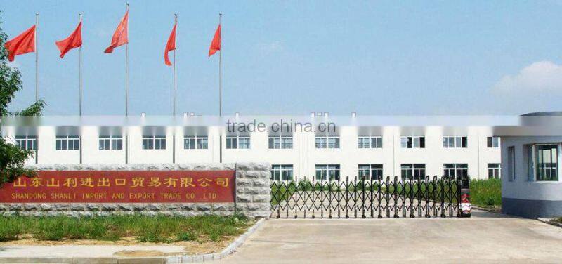 100%Polyester Raschel Blanket