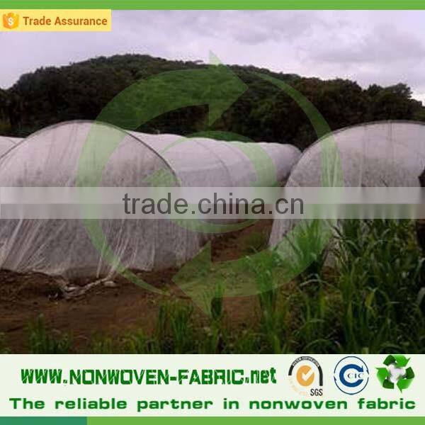 Polypropylene Plant Protection Fabric Blanket Fleece For Plants/Nonwoven Fabric For Agriculture