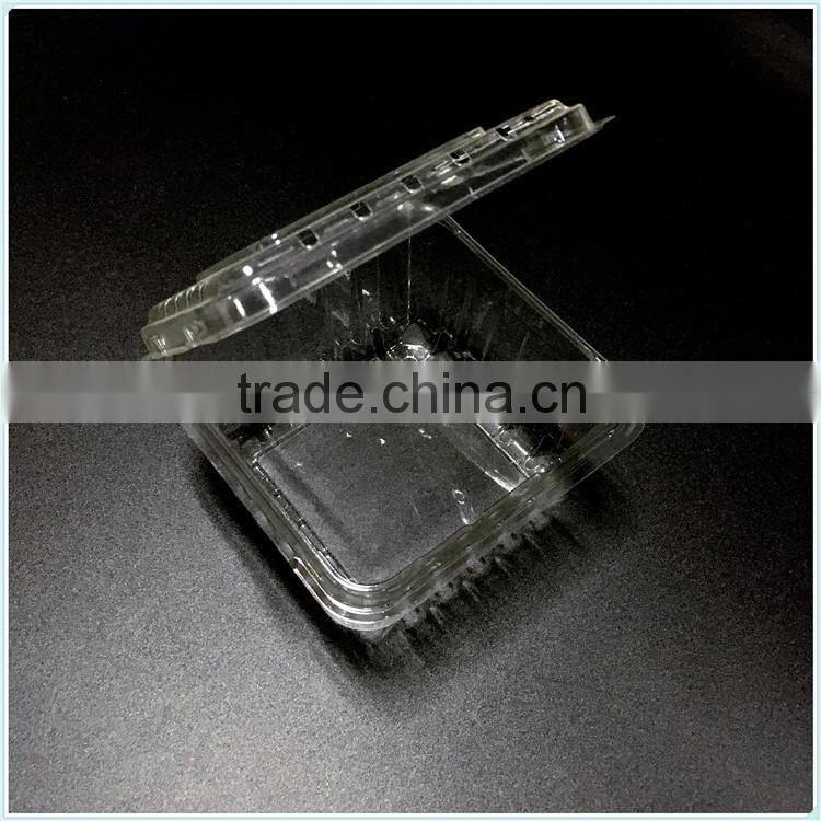 Plastic food blister packaging