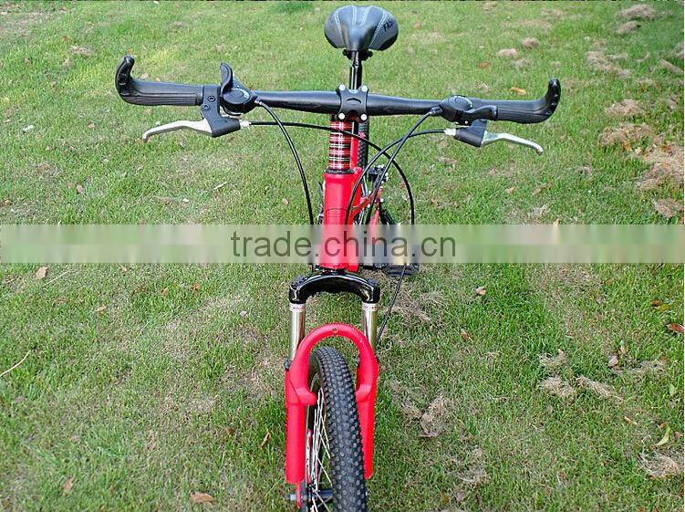 20 new model folding bike hummer mountain bike for sale(PW4-M20106)