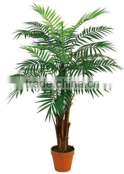 Classic mini palm tree for office decoration